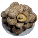 Shiitake paddenstoelen